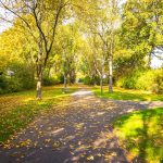 Cycling and Walking the Scottsdale Greenbelt
