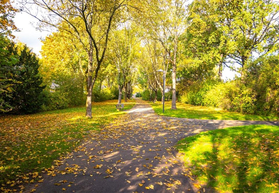 Cycling and Walking the Scottsdale Greenbelt