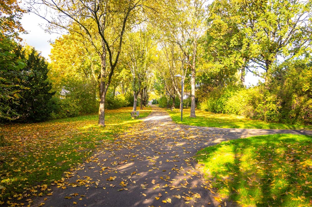 Cycling and Walking the Scottsdale Greenbelt